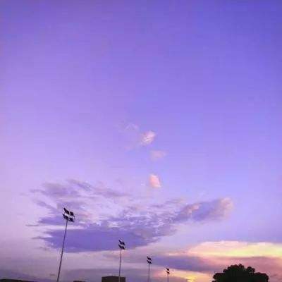 亚博棋牌手机app下载